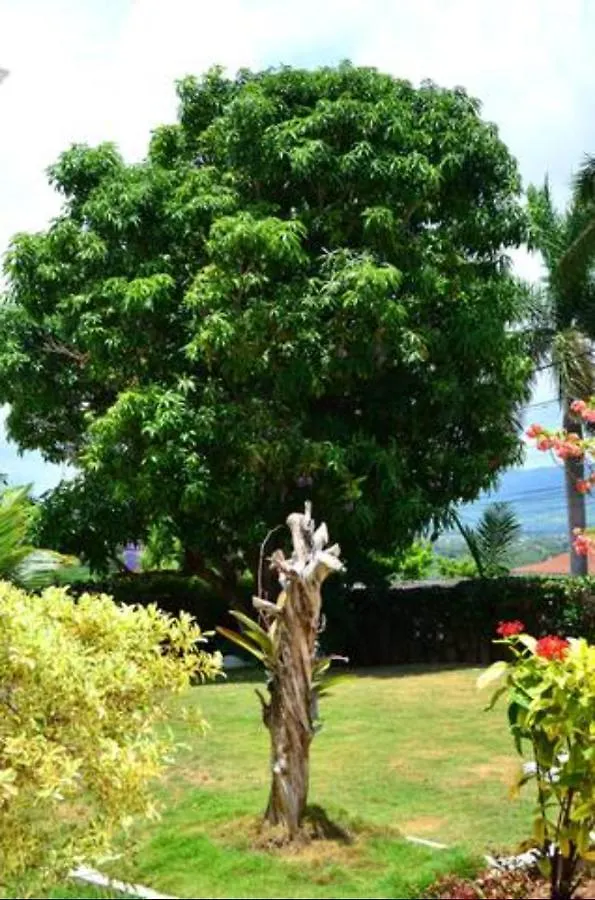 Castle Vue B&B Montego Bay Bed and breakfast