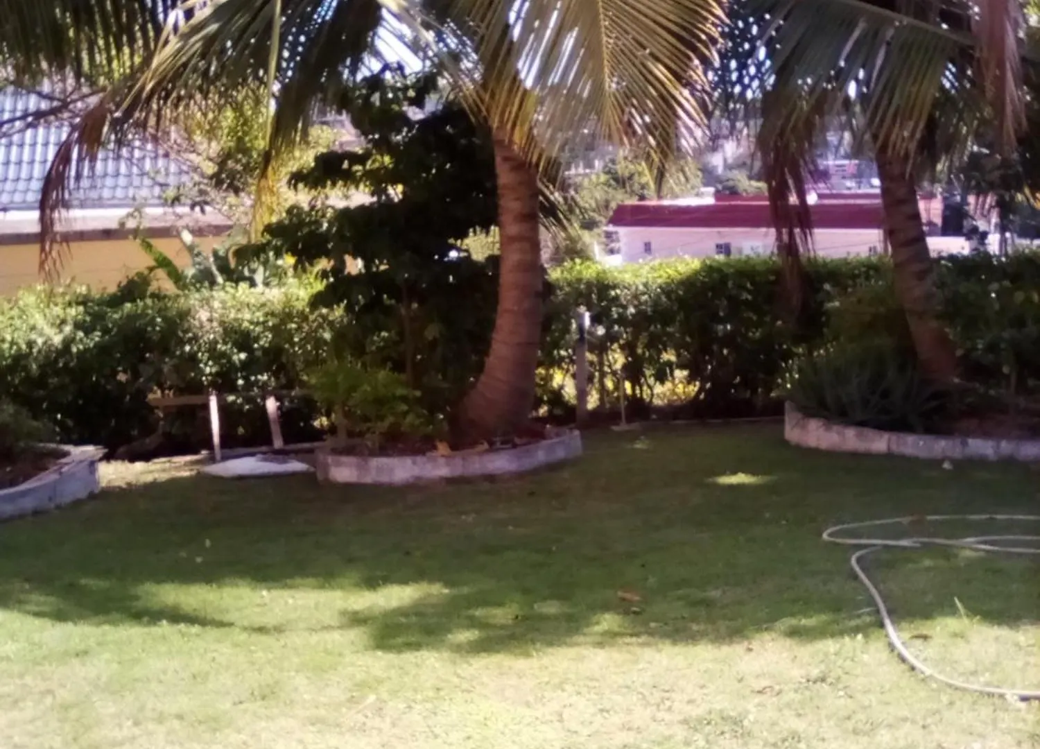 ***** Bed & Breakfast Castle Vue B&B Montego Bay Jamaica